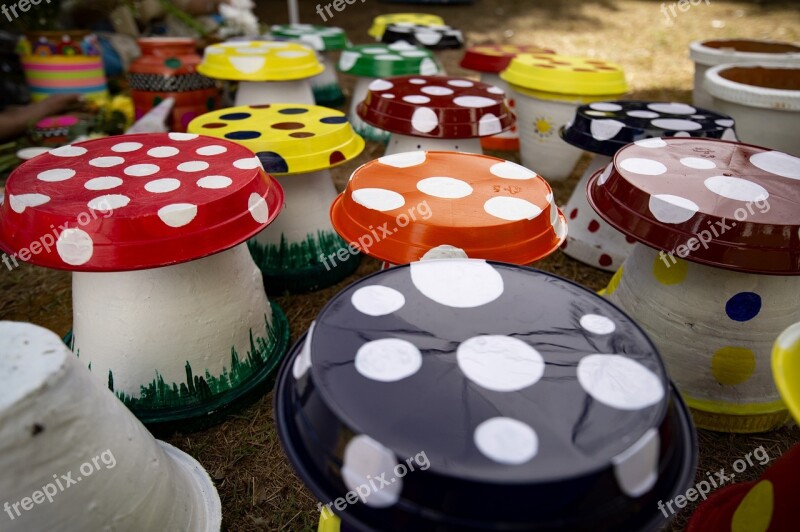 Colours Mushroom Art And Craft Colorful Ladybug