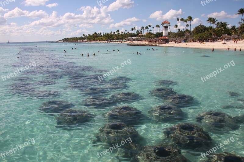 Dominican Republic Island Beach Sea Travel