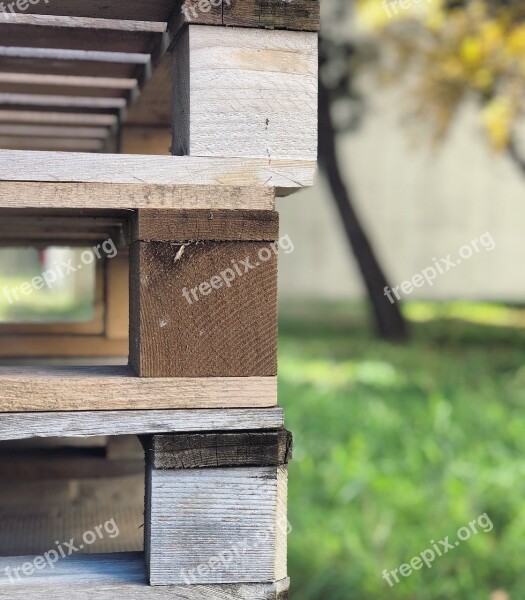 Nature Trees Wood Mats Free Photos