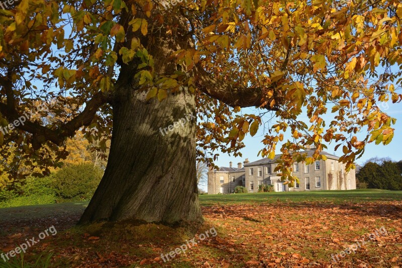 Argory Armagh Irish Outdoor Landscape