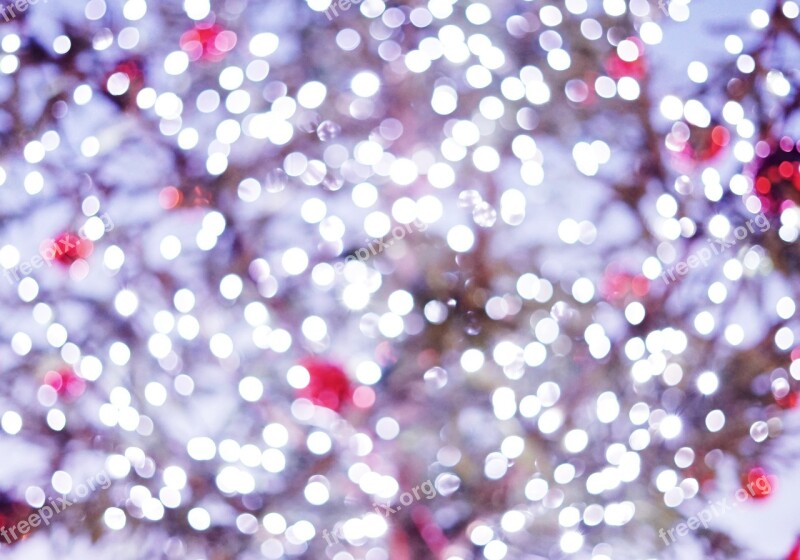 Bokeh Christmas Background Christmas Time Magic