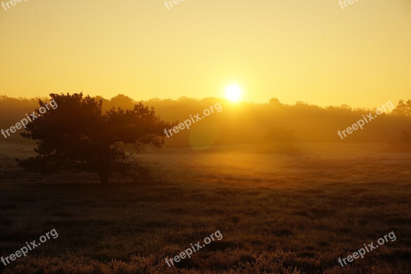 Sunrise Heide Fog Free Photos