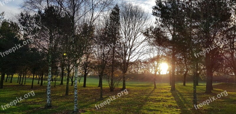 Winter Sun Low Sun Golf Course Trees Silhouette