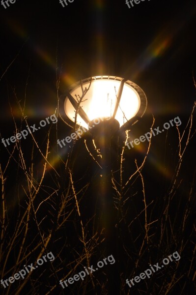 Light Floor Lamp Reverberatory Lamp Lighting