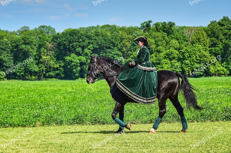 Horse Lady Seat Woman Bridle