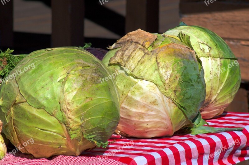 Cabbage At The Market Jackson Cabbage Fresh Jackson Hole