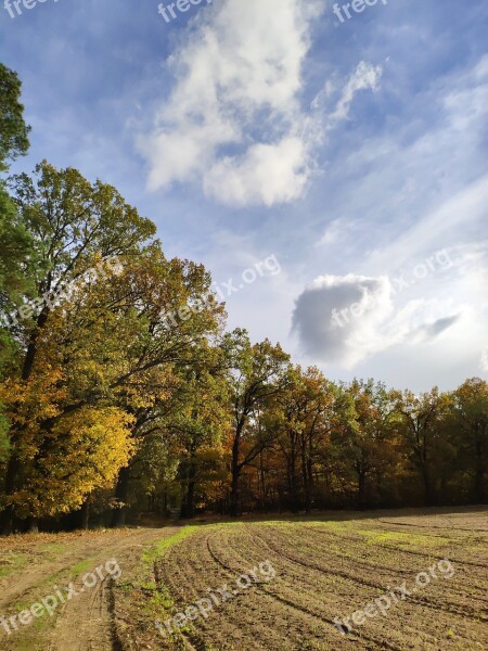 Field Sky Spacer Landscape Clouds