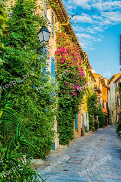 Road Overgrown Lantern Cobblestones House