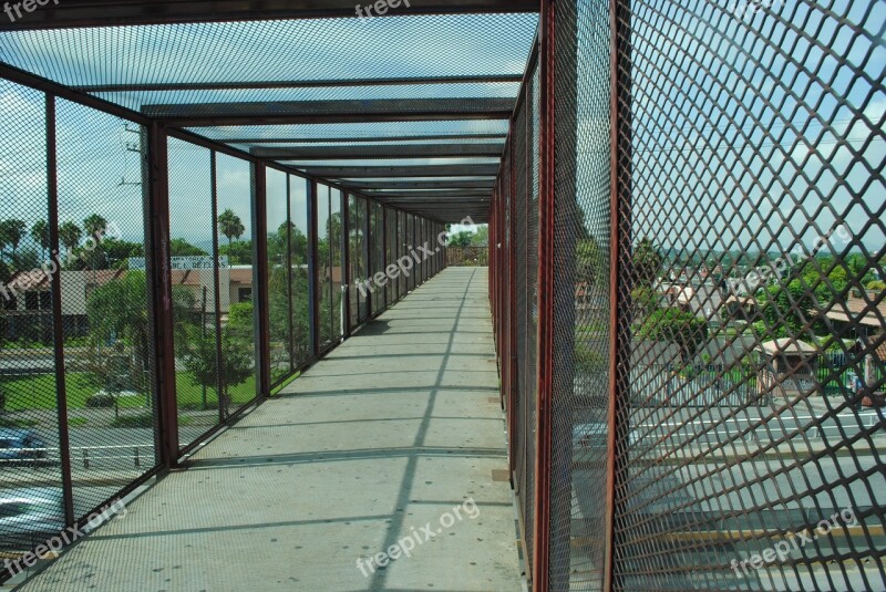 Bridges Pedestrian Cuernavaca Pedestrians Free Photos