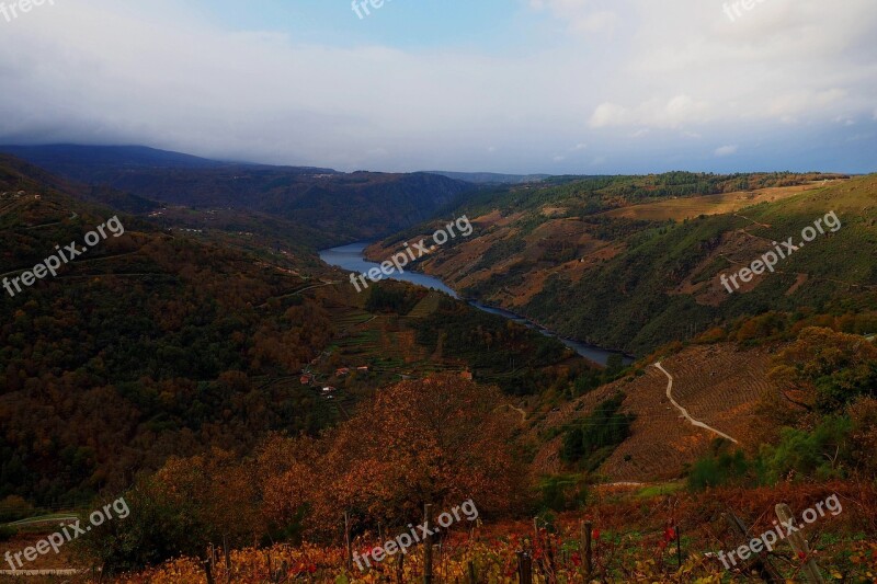 Autumn Galicia Rio Sil Ourense Vineyards