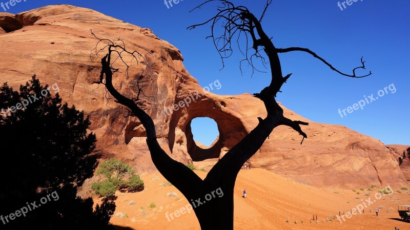 Arches Tree Monument Valley Blue Sky America