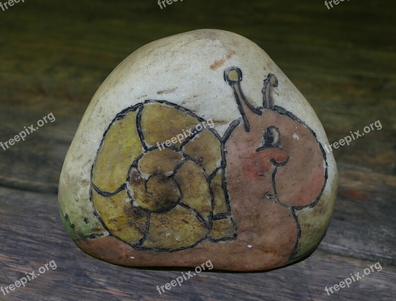 Snail Graphic Pebble Painted Deco