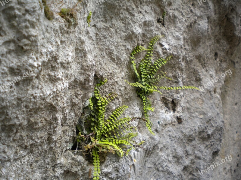 Rock Nature Stone Rock Wall Free Photos