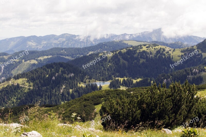 Hochkar Austria Summer Field Nature