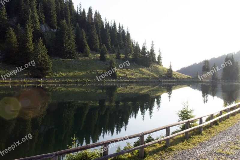 Hochkar Lake Pine Water Landscape