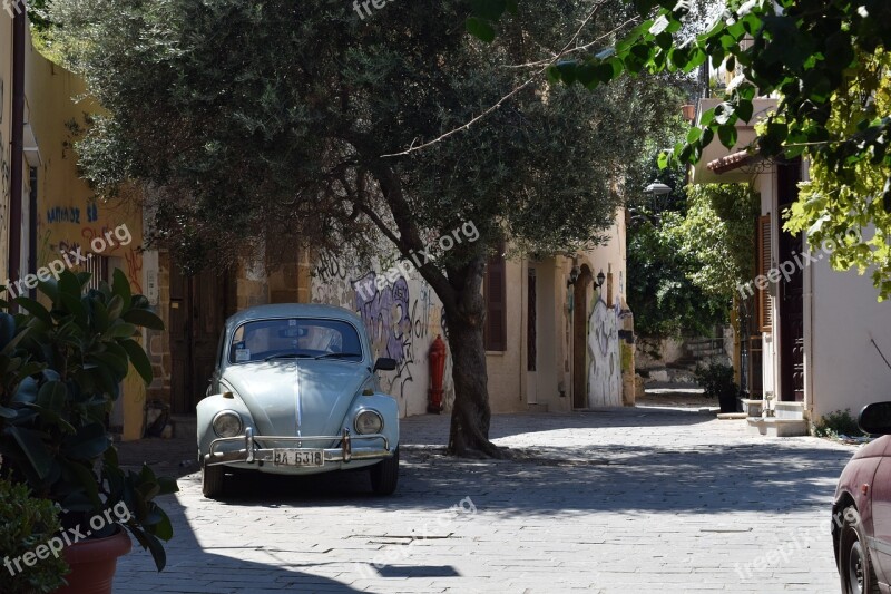 Crete Chania Greece Olive Tree Beetle