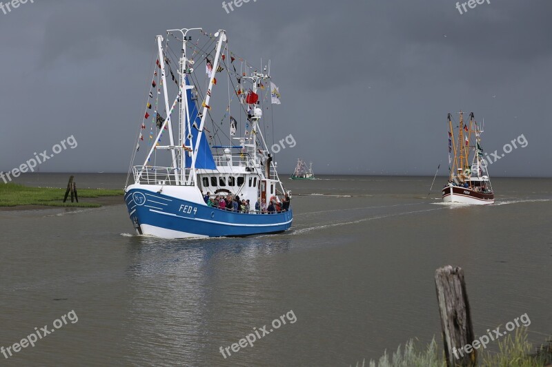 Shrimp Port Fedderwardersiel Boat Regatta Fedderwardersiel Fishing Vessel