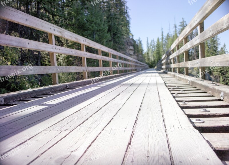 Train Trestle Bridge Wood Forest