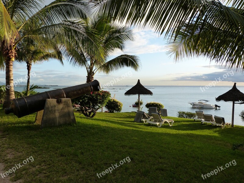 Gun Sea Palm Trees Coast Ocean