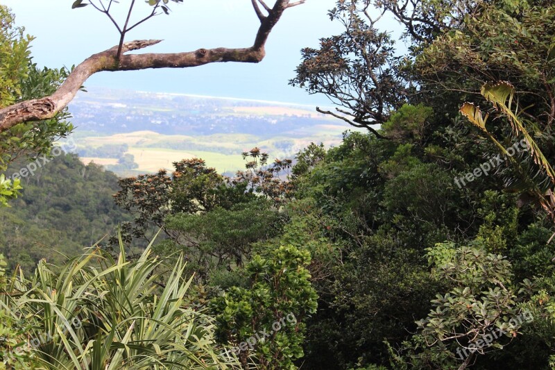 Trees Wood Ecology Nature Scenic