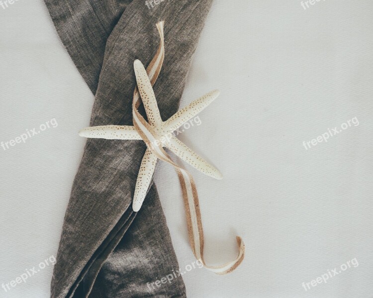 Starfish Looking Down From Above Linen Still Life