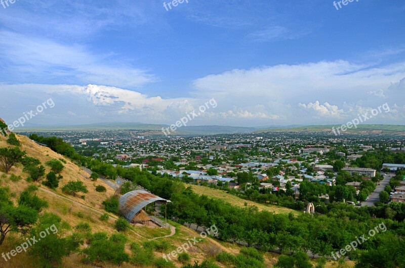 City Green Tree Photo Nature