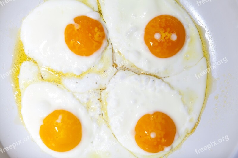 Pan Egg Protein Yolk Eat