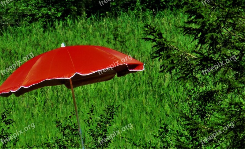 Parasol Red Nature Screen Meadow