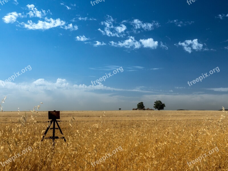 Hay Field Summer Straw Harvest