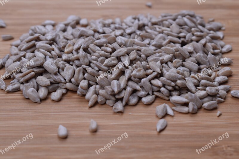 Sunflower Autumn Seeds Fruit Harvest