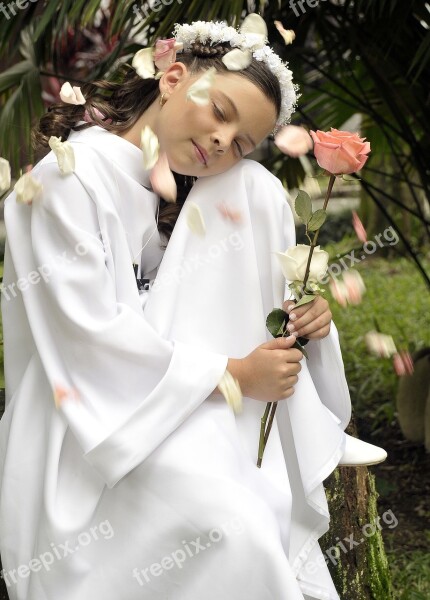 First Communion Girl Pretty Free Photos