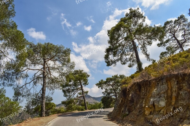 Road Trees Sky Clouds Nature