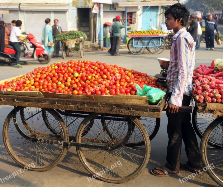 Street Trading Tomatoes Dealer Man Seller