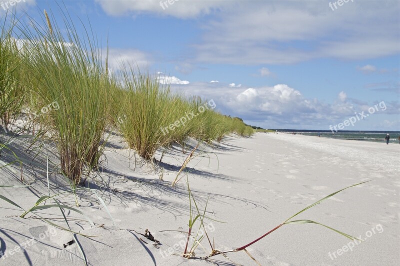 Darß Baltic Sea Island Beach Coast