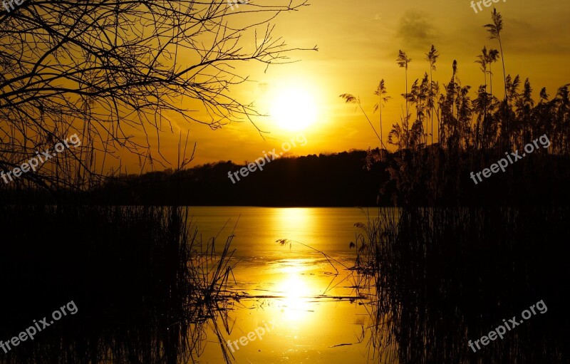 Sacrow Lake King Of The Forest Lake In Brandenburg Potsdam Sunset