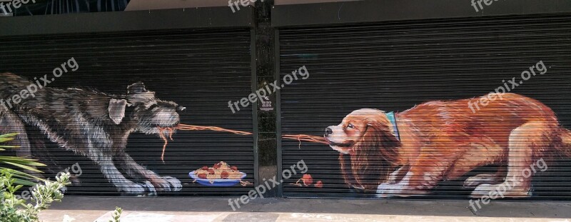 Dogs Fun Street Art Graffiti