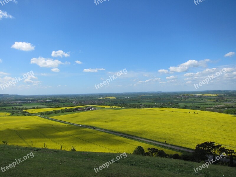 Landscape Summer Landscape Rapeseed Countryside Field