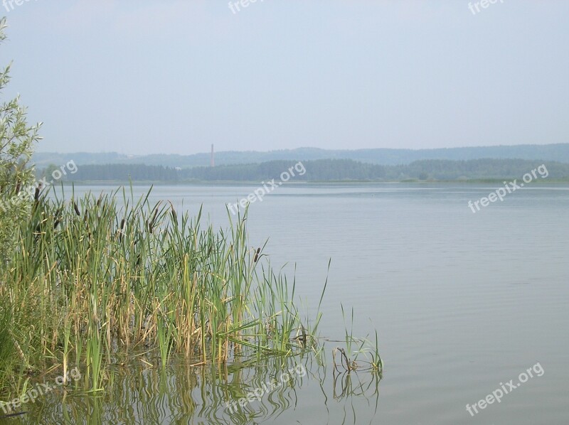 River Beach Sky Grass Reed