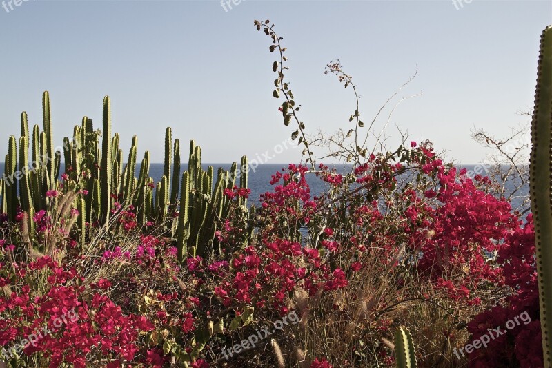 Gran Canaria Spain View Canary Islands Evening Sun