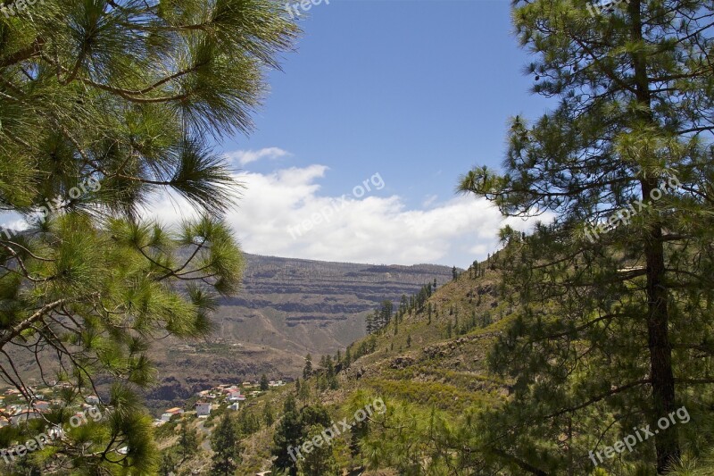 Gran Canaria Mountain Forest Hiking Spain