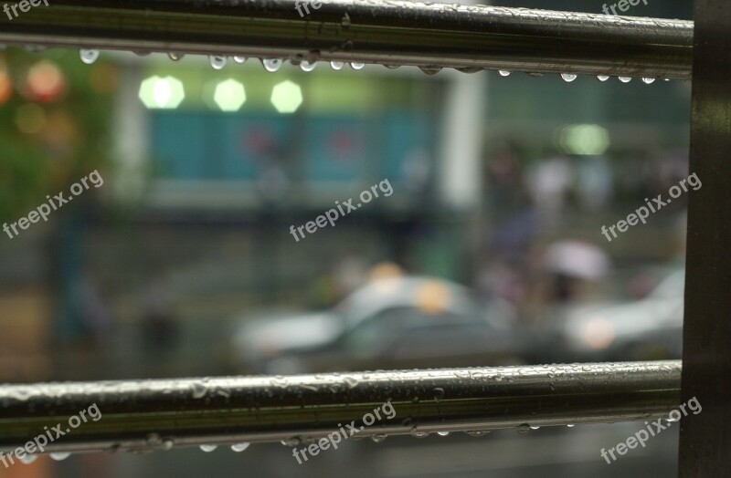 Rain Rainny Day Umbrella Rain Drop Free Photos