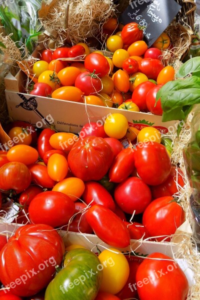 Spanish Tomatoes Red Tomatoes Market Free Photos