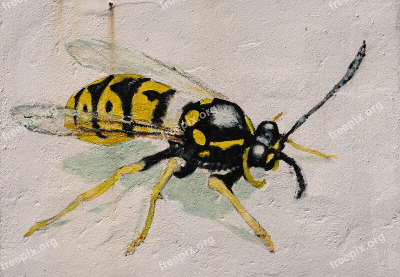 Wasp Wall Graffiti Art House Facade