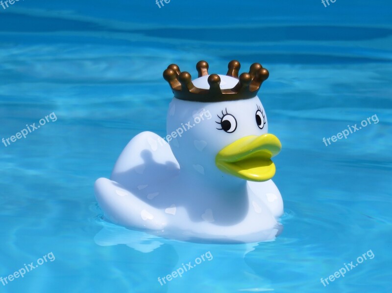 Bath Duck Quietscheente Rubber Duck Swim Funny Summer