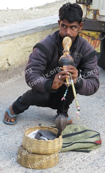 India Snake Snake Charmers Asia Man