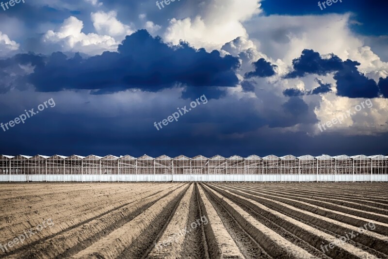 Greenhouse Farming Agriculture Vegetable Organic