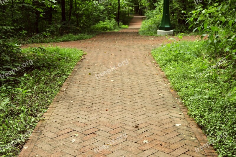 University College Campus Path Pathway