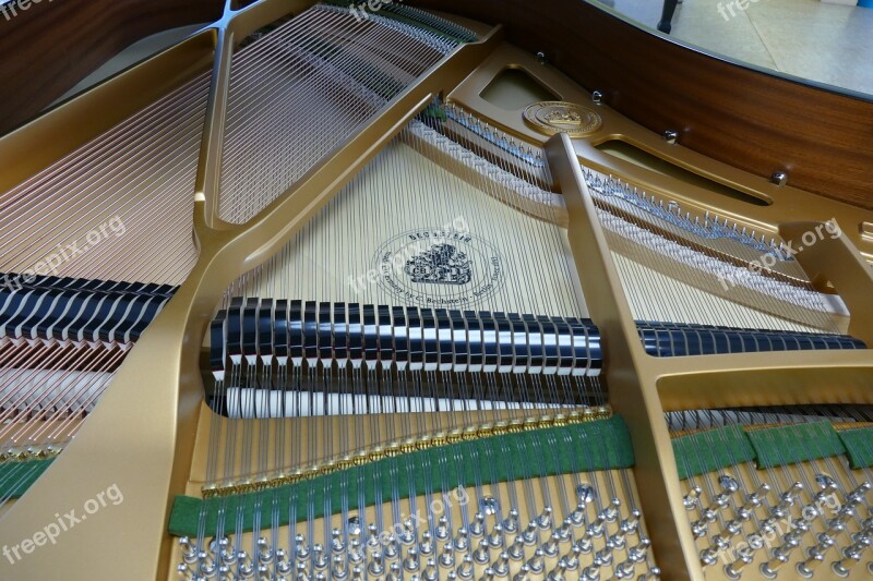 Wing Piano Bechstein Grand Piano Free Photos