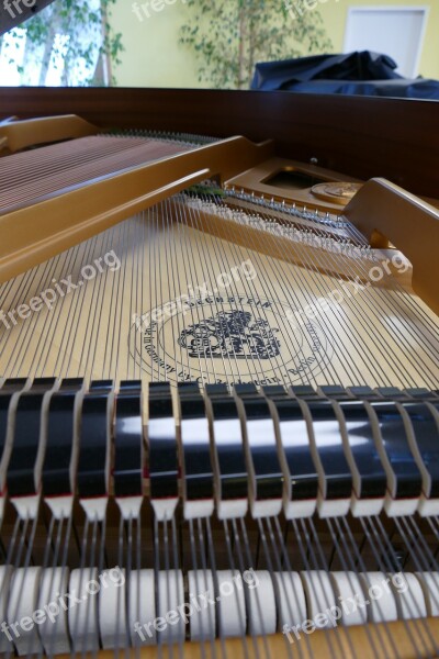 Wing Piano Bechstein Grand Piano Free Photos