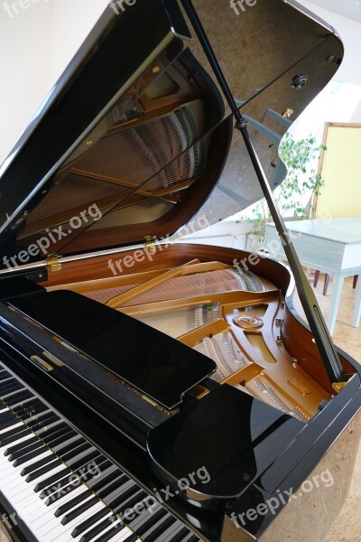 Wing Piano Bechstein Grand Piano Free Photos